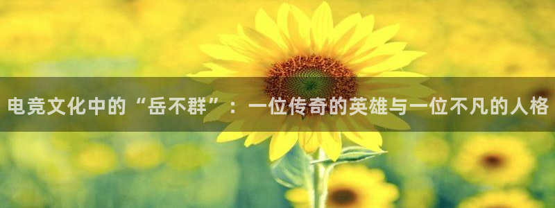 完美电竞手机app：电竞文化中的“岳不群”：一位传奇的英雄与一位不凡的人格
