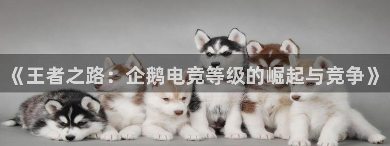 完美电竞世界平台下载：《王者之路：企鹅电竞等级的崛起与竞争》