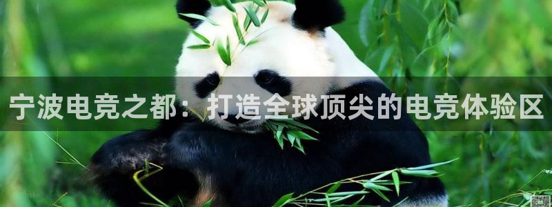cs完美电竞平台：宁波电竞之都：打造全球顶尖的电竞体验区