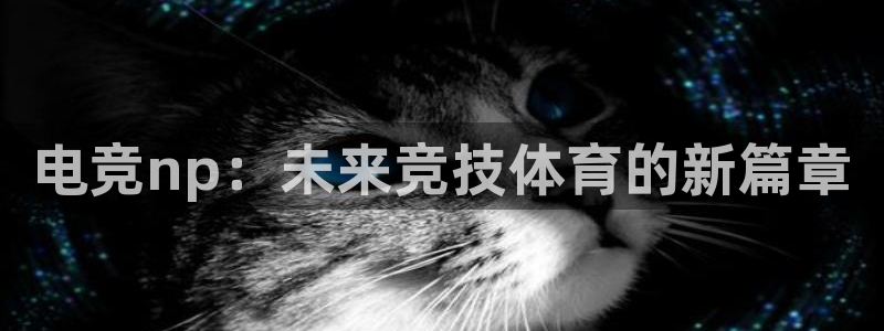 完美电竞官网盛大升级