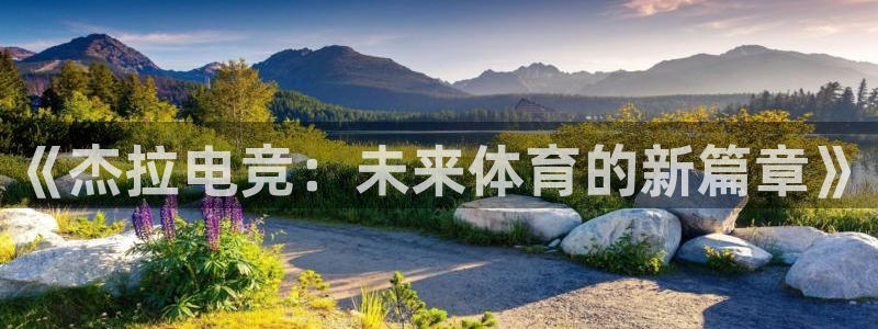 完美电竞注册：《杰拉电竞：未来体育的新篇章》
