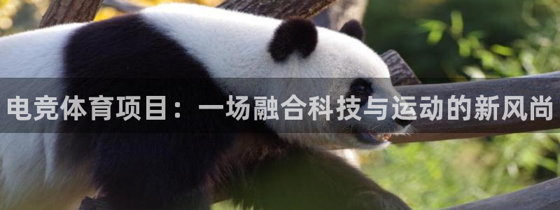 完美电竞app官网：电竞体育项目：一场融合科技与运动的新风尚