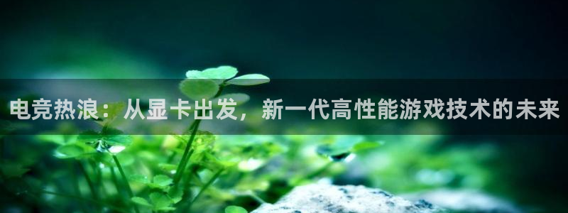 完美电竞平台官网：电竞热浪：从显卡出发，新一代高性能游戏技术的未来