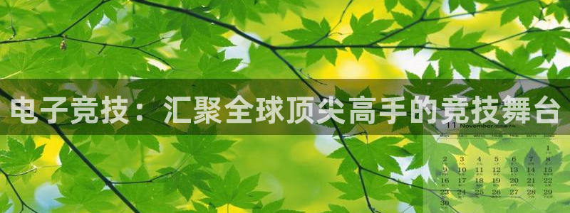 完美电竞账号：电子竞技：汇聚全球顶尖高手的竞技舞台