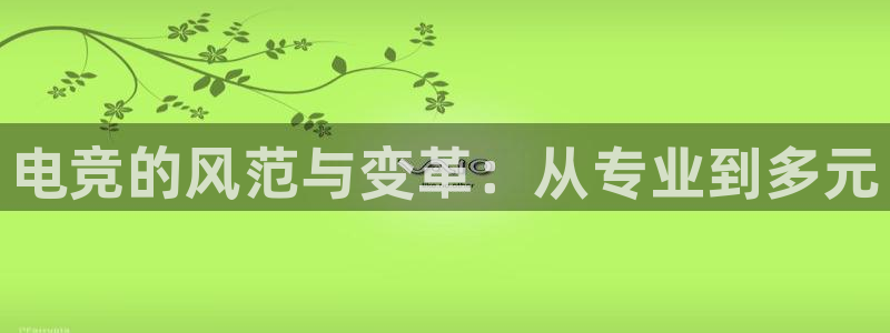 完美电竞查询：电竞的风范与变革：从专业到多元