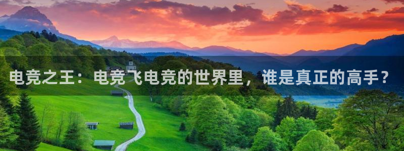 完美电竞世界官网：电竞之王：电竞飞电竞的世界里，谁是真正的高手？