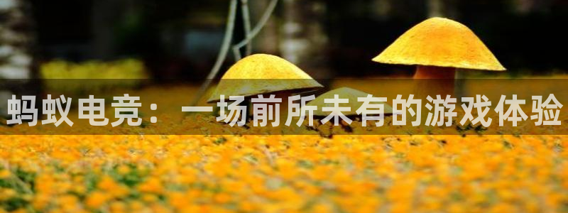 完美电竞平台下载：蚂蚁电竞：一场前所未有的游戏体验