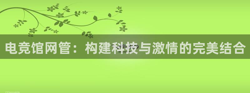 完美电竞直播：电竞馆网管：构建科技与激情的完美结合