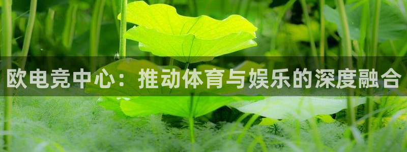 完美电竞账号：欧电竞中心：推动体育与娱乐的深度融合
