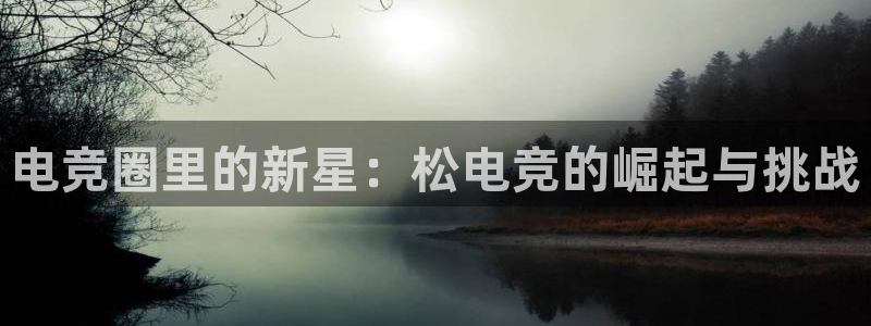 cs完美电竞平台：电竞圈里的新星：松电竞的崛起与挑战