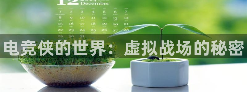 cs完美电竞平台：电竞侠的世界：虚拟战场的秘密
