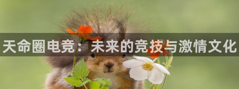 完美电竞手机app：天命圈电竞：未来的竞技与激情文化
