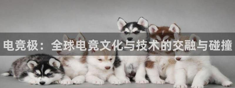完美电竞官网首页：电竞极：全球电竞文化与技术的交融与碰撞