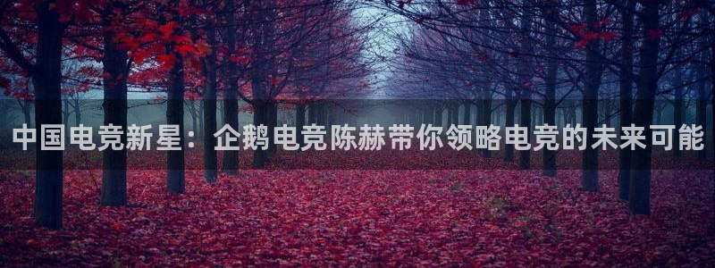 完美电竞世界：中国电竞新星：企鹅电竞陈赫带你领略电竞的未来可能