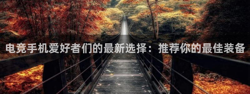 完美电竞账号：电竞手机爱好者们的最新选择：推荐你的最佳装备
