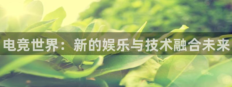 完美电竞注册：电竞世界：新的娱乐与技术融合未来