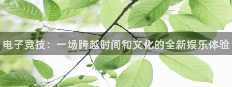 完美电竞查询：电子竞技：一场跨越时间和文化的全新娱乐体验