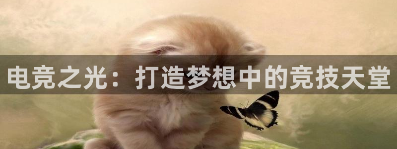 完美电竞app下载：电竞之光：打造梦想中的竞技天堂