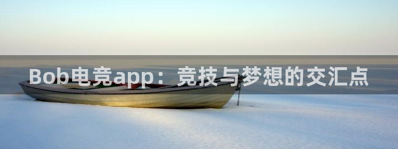 完美电竞app官网：Bob电竞app：竞技与梦想的交汇点