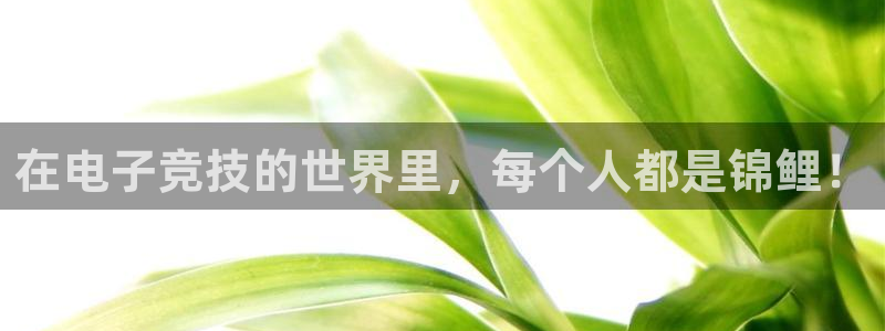完美电竞大会员：在电子竞技的世界里，每个人都是锦鲤！