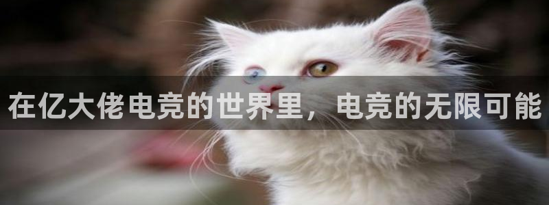 完美电竞联赛：在亿大佬电竞的世界里，电竞的无限可能