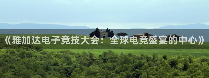 完美电竞查询：《雅加达电子竞技大会：全球电竞盛宴的中心》