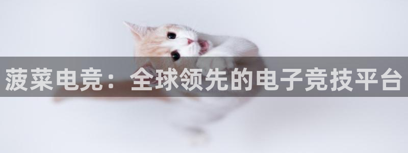 完美电竞官网：菠菜电竞：全球领先的电子竞技平台