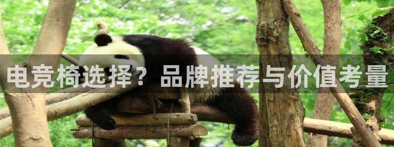 完美电竞手机app：电竞椅选择？品牌推荐与价值考量