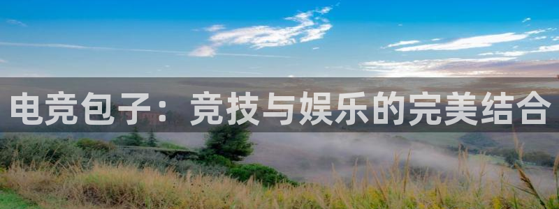 完美电竞绑定steam：电竞包子：竞技与娱乐的完美结合