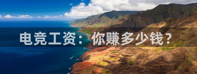 完美电竞平台下载：电竞工资：你赚多少钱？