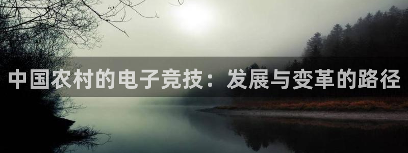 完美电竞世界官网：中国农村的电子竞技：发展与变革的路径