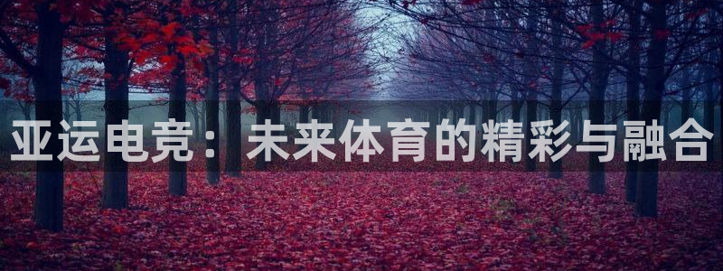 完美电竞世界：亚运电竞：未来体育的精彩与融合