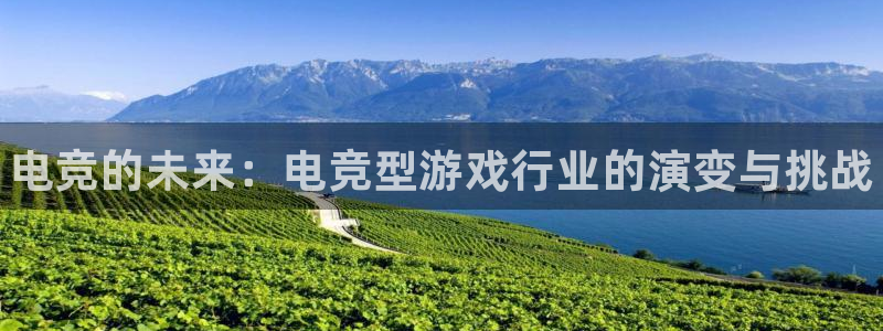 完美电竞世界平台：电竞的未来：电竞型游戏行业的演变与挑战