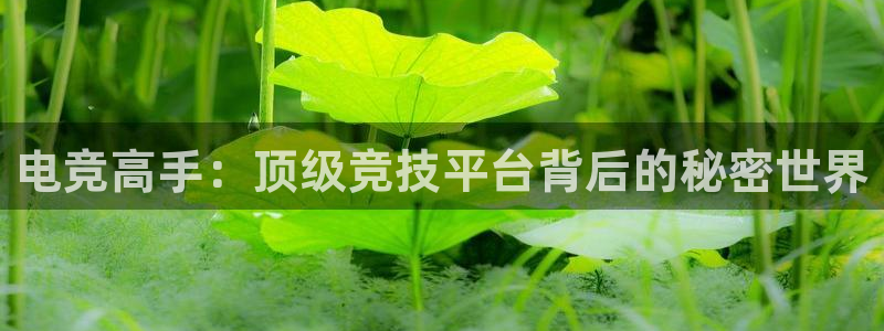 完美电竞世界平台：电竞高手：顶级竞技平台背后的秘密世界
