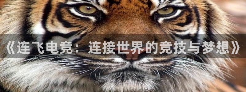 完美电竞手机app：《连飞电竞：连接世界的竞技与梦想》