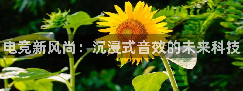 完美电竞官网盛大升级：电竞新风尚：沉浸式音效的未来科技