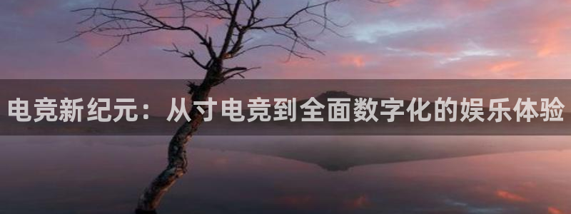 完美电竞绑定steam：电竞新纪元：从寸电竞到全面数字化的娱乐体验