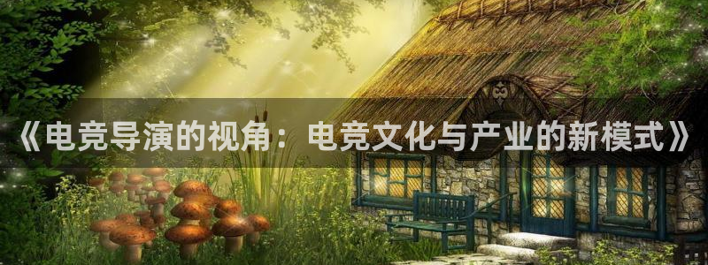 完美电竞app：《电竞导演的视角：电竞文化与产业的新模式》