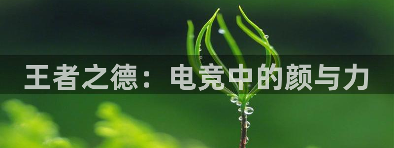 cs完美电竞平台：王者之德：电竞中的颜与力