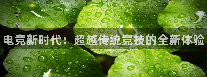 完美电竞平台下载：电竞新时代：超越传统竞技的全新体验