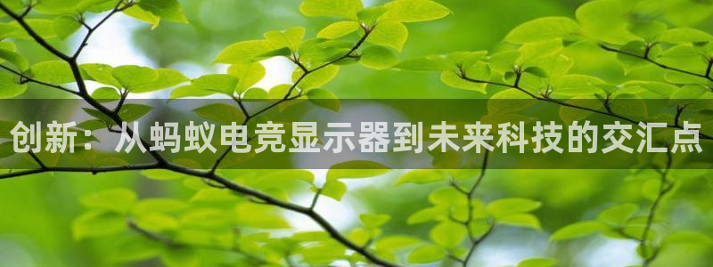 完美电竞对战：创新：从蚂蚁电竞显示器到未来科技的交汇点
