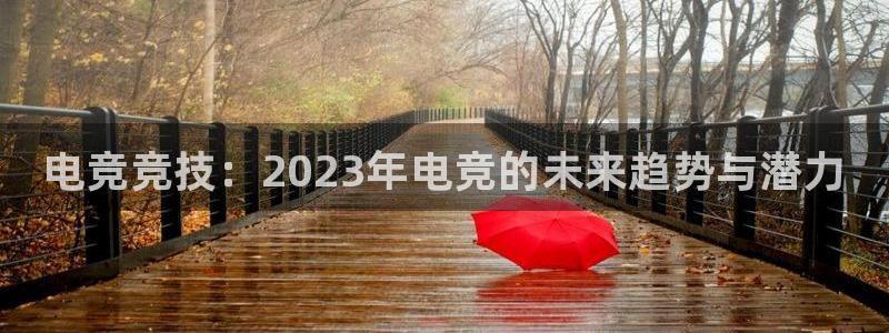 完美电竞世界平台：电竞竞技：2023年电竞的未来趋势与潜力