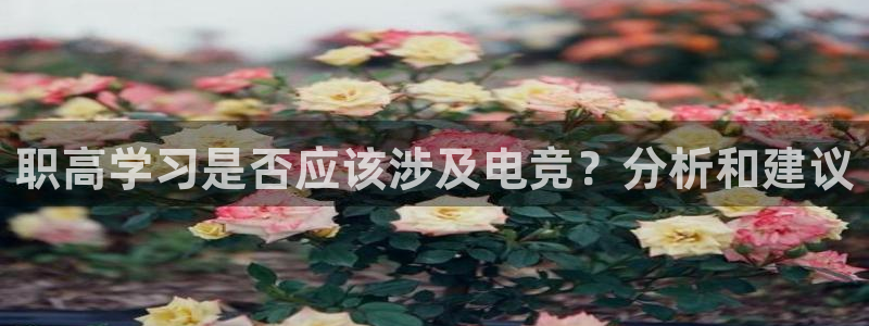 完美电竞世界：职高学习是否应该涉及电竞？分析和建议