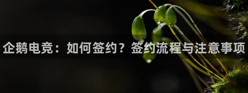 csgo完美电竞平台：企鹅电竞：如何签约？签约流程与注意事项