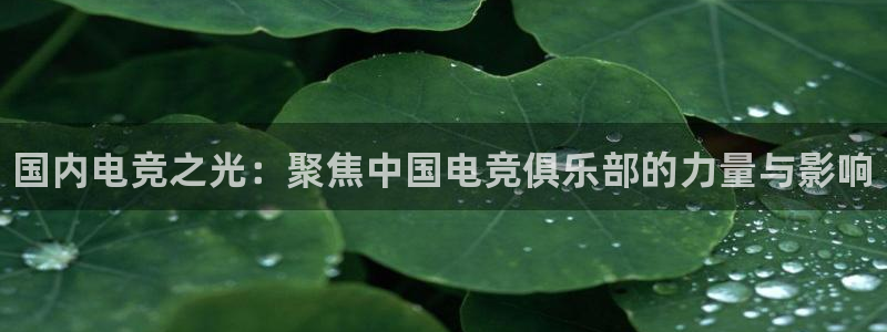 完美电竞官网：国内电竞之光：聚焦中国电竞俱乐部的力量与影响