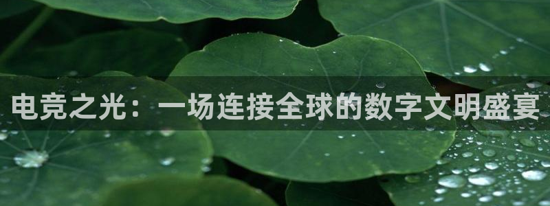 完美电竞app下载：电竞之光：一场连接全球的数字文明盛宴